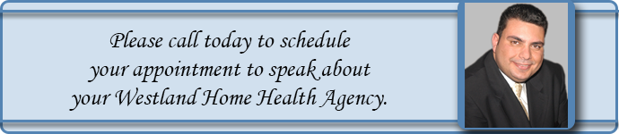 Westland Michigan home health agency accountant